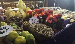 兴文龙腾吃瓜,一场别开生面的吃瓜盛宴