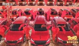 盐城吃瓜事件汽车,一场汽车引发的争议风暴