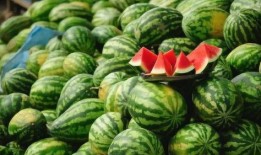 吃閪瓜,揭秘吃閪瓜的神奇魅力