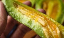 吃羊角蜜瓜吗,羊角蜜瓜的口感与魅力