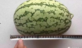 古代人吃瓜都吃籽,探寻古代瓜籽食用的文化韵味