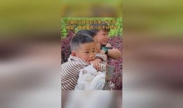 趴墙上吃瓜,揭秘趴墙吃瓜的趣味时光