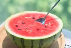 乐趣屋吃瓜群,揭秘网络社交圈的欢乐与争议