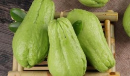 佛手瓜叶尖怎么吃,佛手瓜叶尖的多样食法探索