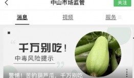 怀孕梦见吃葫芦瓜,葫芦瓜的寓意与启示