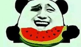 吃瓜学府,揭秘校园里的“瓜田”趣事