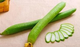 送瓜给小孩吃,传递爱心与童趣的甜蜜时光