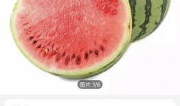 吃瓜涨修为,从围观到修为提升的奇妙旅程