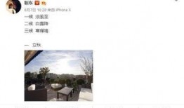 每日吃瓜靳东,娱乐圈的“瓜王”揭秘