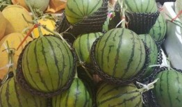 吃瓜小匠,揭秘娱乐圈那些不为人知的幕后故事