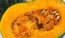 吃番薯吃瓜,品味田园生活的甜蜜滋味