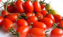 随心吃瓜小剧场,趣味横生的娱乐圈幕后故事