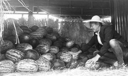 丹江吃瓜群众事件,一场网络舆论的风暴与反思