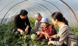 马姐姐沛县吃瓜,一场美食与文化的盛宴