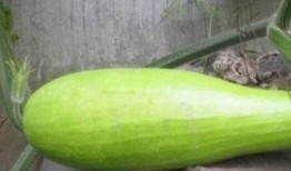 砍瓜就这样吃,探索独特美味的新吃法