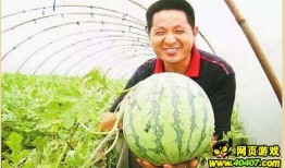 趴墙上吃瓜,揭秘趴墙吃瓜的趣味时光