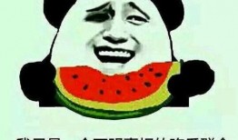 吃瓜剧情怎么过,揭秘娱乐圈幕后真相