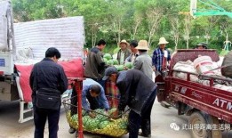 丹江吃瓜群众事件,一场网络舆论的风暴与反思