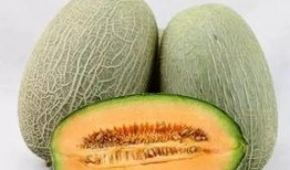 疯狂吃货哈密瓜,一场甜蜜的味蕾冒险之旅