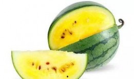 21年吃瓜图,盘点那些年我们一起“吃瓜”的瞬间