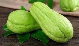 佛手瓜叶尖怎么吃,佛手瓜叶尖的多样食法探索