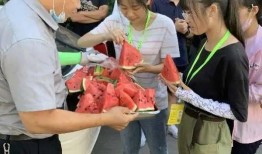 驾校吃瓜,吃瓜群众揭秘学车那些事儿