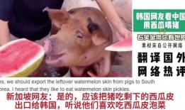 什么瓜给猪吃,揭秘“什么瓜给猪吃”的奥秘