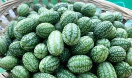 一诺吃瓜被发现,揭秘娱乐圈背后的真相