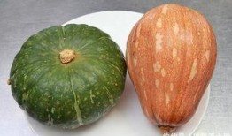 吃番薯吃瓜,品味田园生活的甜蜜滋味