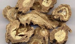 有的吃瓜适合独活,探寻独特口感与生活态度的完美融合