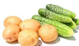 吃土豆长大的瓜,探寻农耕文化的绿色传承