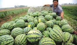 前几天吃瓜,真相与反转大揭秘！”