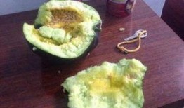 古代人吃瓜都吃籽,探寻古代瓜籽食用的文化韵味