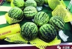 围观吃瓜窜稀,揭秘网络热议背后的“窜稀”现象