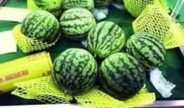 围观吃瓜窜稀,揭秘网络热议背后的“窜稀”现象