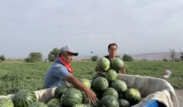 明代吃瓜现场,一场盛大的吃瓜盛宴