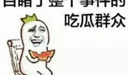 顾城吃瓜群众,吃瓜群众的视角解读