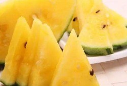 21年吃瓜图,盘点那些年我们一起“吃瓜”的瞬间