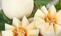 白皮大园瓜怎样吃,白皮大园瓜的多彩食法探索