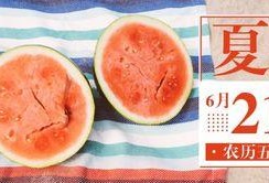 吃瓜型公众号,吃瓜群众带你领略明星幕后故事