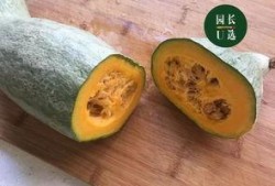 可以连皮吃的瓜,揭秘可连皮食用的神奇瓜果