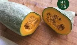可以连皮吃的瓜,揭秘可连皮食用的神奇瓜果