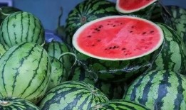 吃瓜博主西瓜,西瓜，吃瓜博主们的夏日必备