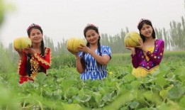 巴州吃瓜群,揭秘当地美食文化盛宴