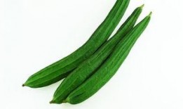 夏吃叶还是瓜,夏日消暑美食指南