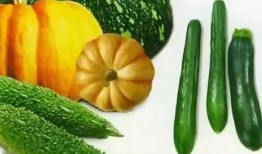 明代吃瓜现场,一场盛大的吃瓜盛宴