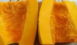 吃馅的黄色瓜叫什么瓜,探寻美味与传说的瓜中珍品