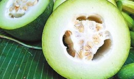 肉球吃瓜,揭秘娱乐圈的甜蜜与苦涩