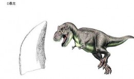 带你吃瓜的恐龙,探寻“带你吃瓜”的恐龙传奇