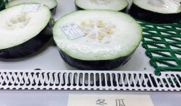 夏季吃三瓜都哪三瓜好吃,西瓜、黄瓜、苦瓜，美味解渴又养生